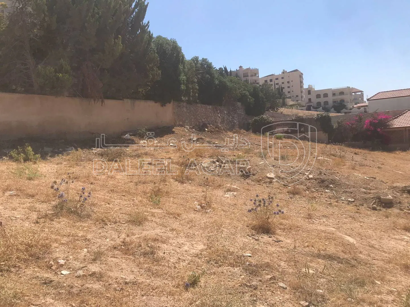 أرض في شارع رفعت شموط شفابدران  - 210,000 دأ - صورة 1
